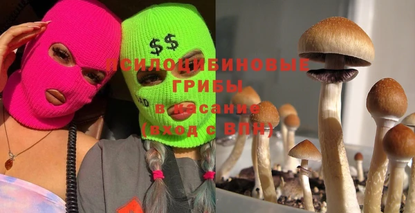 герыч Алзамай