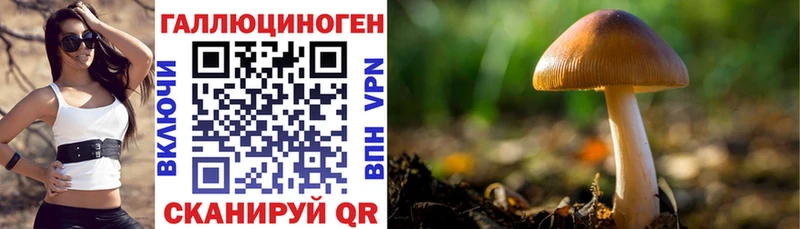 Галлюциногенные грибы ЛСД  Кириши 
